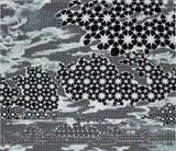 Toby Ziegler, Study for Euphemism, 2005, inkjet and correction fluid on paper