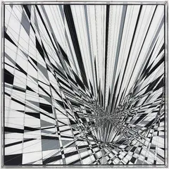 Thomas Canto, White Vortex, 2012, nylon thread and acrylic on canvas, in an artist's Plexiglas box