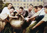 Xia Xing, 05. 7. 17. XX, 2005, oil on canvas