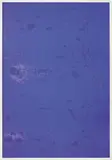Pamela Rosenkranz, "Because they tried to bore holes in my greatest and most beautiful work” (Relief of Hardship and Troubles), 2012, Adhesive mount, pigment inkjet print, photo paper, bubbles, acrylic glass