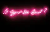 Tracey Emin, Is Legal Sex Anal?