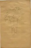 Egon Schiele, Liegendes Kind (Reclining Child), Drawn in 1910 (incorrectly dated 1908 according to Jane Kallir), pencil on paper