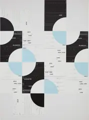Michael Riedel, 47, 2011, silkscreen on linen