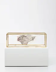 Carol Bove, Untitled, 2009, brass, stone, illustrator board, tape and bandage