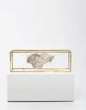 Carol Bove, Untitled