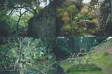 Gabriel Orozco, Quatro Parques