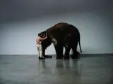 Douglas Gordon, Minnie, New York