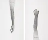 Douglas Gordon, Two Works: (i) Tattoo I; (ii) Tattoo II