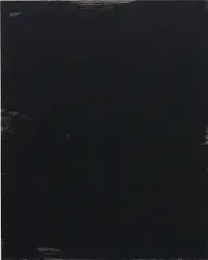 Ned Vena, Untitled, 2009, acrylic on canvas
