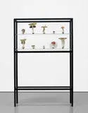 Carsten Höller, Doppelpilzvitrine (10 Doppelpilze)