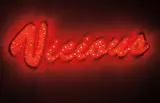 Tim Noble and Sue Webster, Vicious