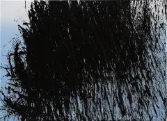 T 1981 K3 by Hans Hartung, 1981, oil on canvas, offered Oct 2016