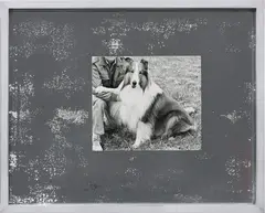 Elad Lassry, Collie (Silver 44), 2011, foil on silver gelatin print, in artist's frame