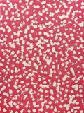 Kyle Thurman, Untitled (120 West 28th Street, New York NY 10001), 2013, flower pigment on canvas