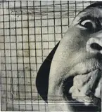 JR, Adama, Montfermeil, Portrait d'une Generation, 2006, photographic wheatpaste on found panel