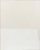 Ethan Cook, Untitled, 2014, hand woven cotton canvas and canvas, in artist's frame
