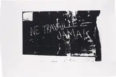 Rirkrit Tiravanija, Ava, 2000, screenprint on canvas