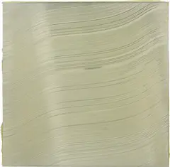 Jason Martin, Viveur, 2003, acrylic on polished stainless steel