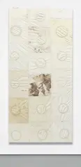 Ross Iannatti, Hysteresis no. 46, 2013, sodium azide and residue on silicone coated nylon