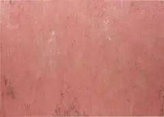 Phoebe Collings-James, Flesh Tint Painting No.4, 2013, oil on linen