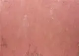 Phoebe Collings-James, Flesh Tint Painting No.4, 2013, oil on linen