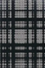 George Pusenkoff, Window #3, 2013, acrylic on canvas