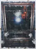Borden Capalino, Champagne Rain, 2014, thermal transfer, baking soda, walnuts, pistachio shell, coffee, enamel on canvas
