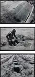 Santiago Sierra, 3000 Huecos (3000 Hollows), 2002, photograph, triptych
