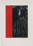 Balthasar Burkhard, Crow-Wing and Monochrome