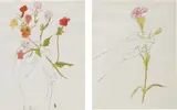 Andy Warhol, Hand with Flowers and Carnation/Diptychon