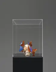 Philippe Pasqua, Vanité aux papillons (Vanity of Butterflies), butterflies and acrylic on resin, in artist's Plexiglas box and plinth