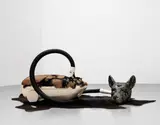 Bharti Kher, Hungry Dogs Eat Dirty Pudding, 2004, fibreglass and plastic