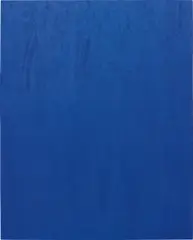 Sean Kennedy, Untitled, 2012, synthetic suede