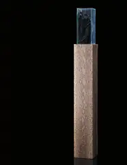 Gloria Friedmann, Nightfall, 1988, snakeskin covered pedestal and crow feathers in glass vitrine