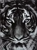 Tiger by Robert Longo, 2011, Archival pigment print, on Epson hot-pressed paper, with full margins,, sold Jan 2016