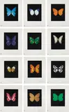 Butterfly Etching by Damien Hirst, 2009, The complete portfolio of 12 etching and aquatints in colours, on wove paper, with full margins,, sold Jan 2016
