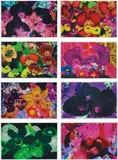 Marc Quinn, At the Far Edges of the Universe