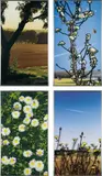 French Landscapes by Julian Opie, 2013, The complete set of four lenticular acrylic panels comprised of four inkjet prints in colours printed directly onto 40lp, sold Jan 2016