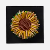 Federico Uribe, Untitled (Sunflower), Pencils