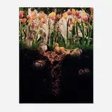Gregory Crewdson, Untitled (eggs and chick)