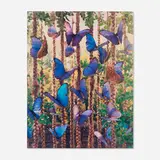 Gregory Crewdson, Untitled (butterflies and braids-vertical) (from the Natural Wonder series), 1997, C-print