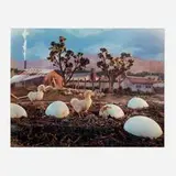 Gregory Crewdson, Untitled (ducks and ostrich eggs)
