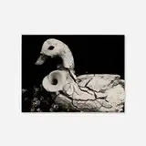 Edward Weston, Duck and Lily, c. 1939, gelatin silver print