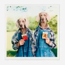 William Wegman, Hope, 2002, Iris print