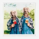 William Wegman, Hope
