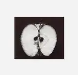 Wynn Bullock, Half an Apple, gelatin silver print