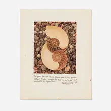 Edward Weston, Double Nautilus, 1950, offset lithograph in colors mounted to illustration board