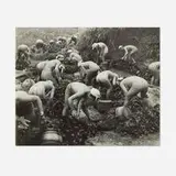 Yoshiyuki Iwase, Seaweed Harvest, gelatin silver print