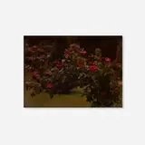 Untitled (Rose Bush) by A. Lumière & Ses Fils, c. 1905, vintage autochrome lumière, sold Mar 2025