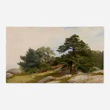John Frederick Kensett, Study for Trees on the Beverly Coast, 1856, oil on canvas
